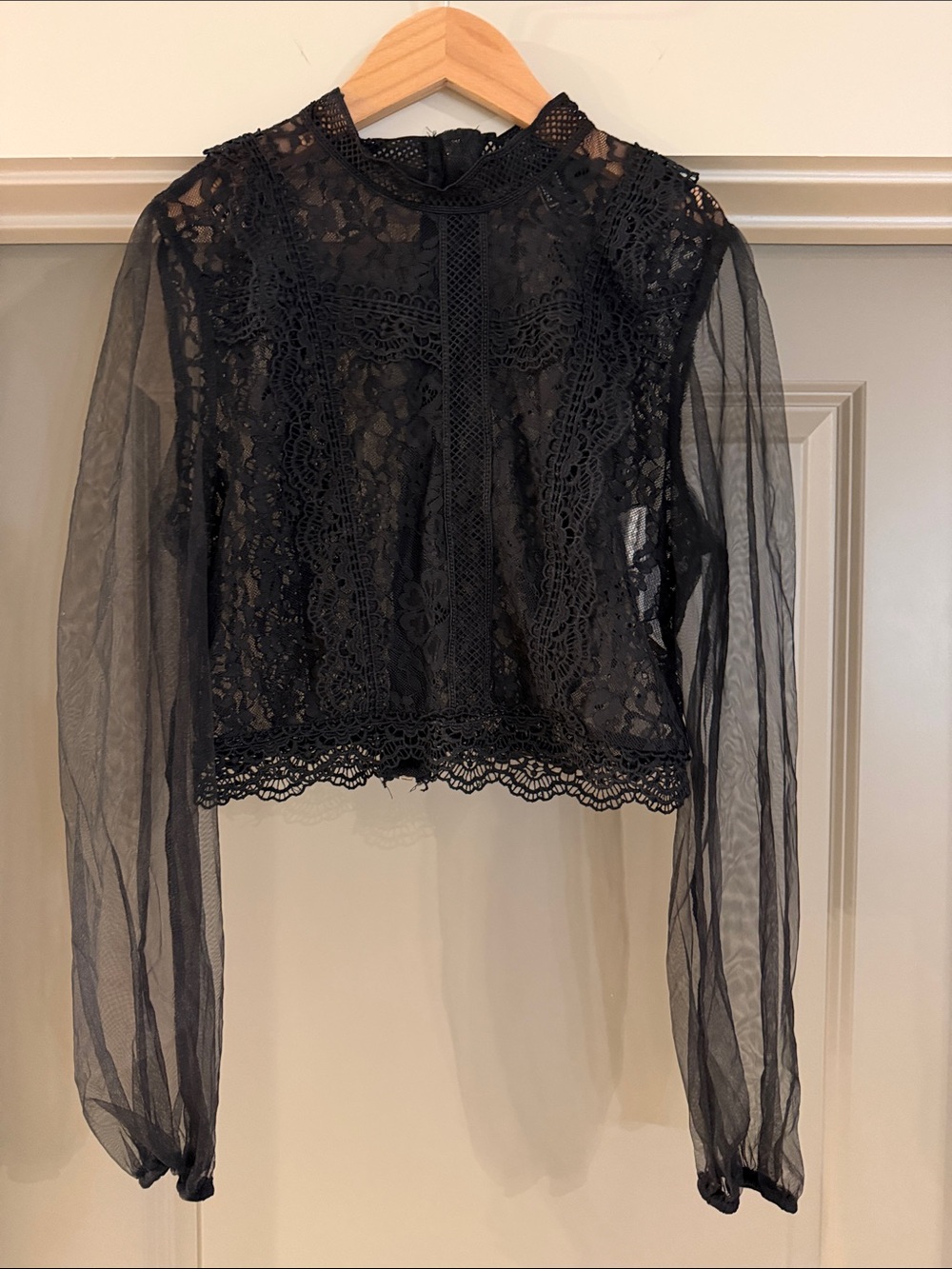 Forever 21 Black Sheer Crop Blouse